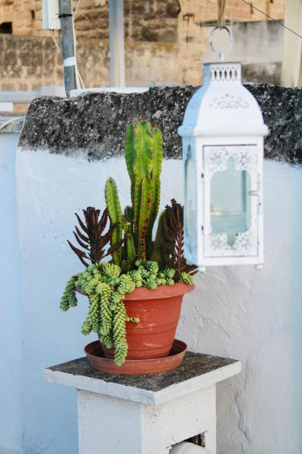 Acquamarina Villa Monopoli Buitenkant foto